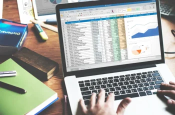 software ou planilha